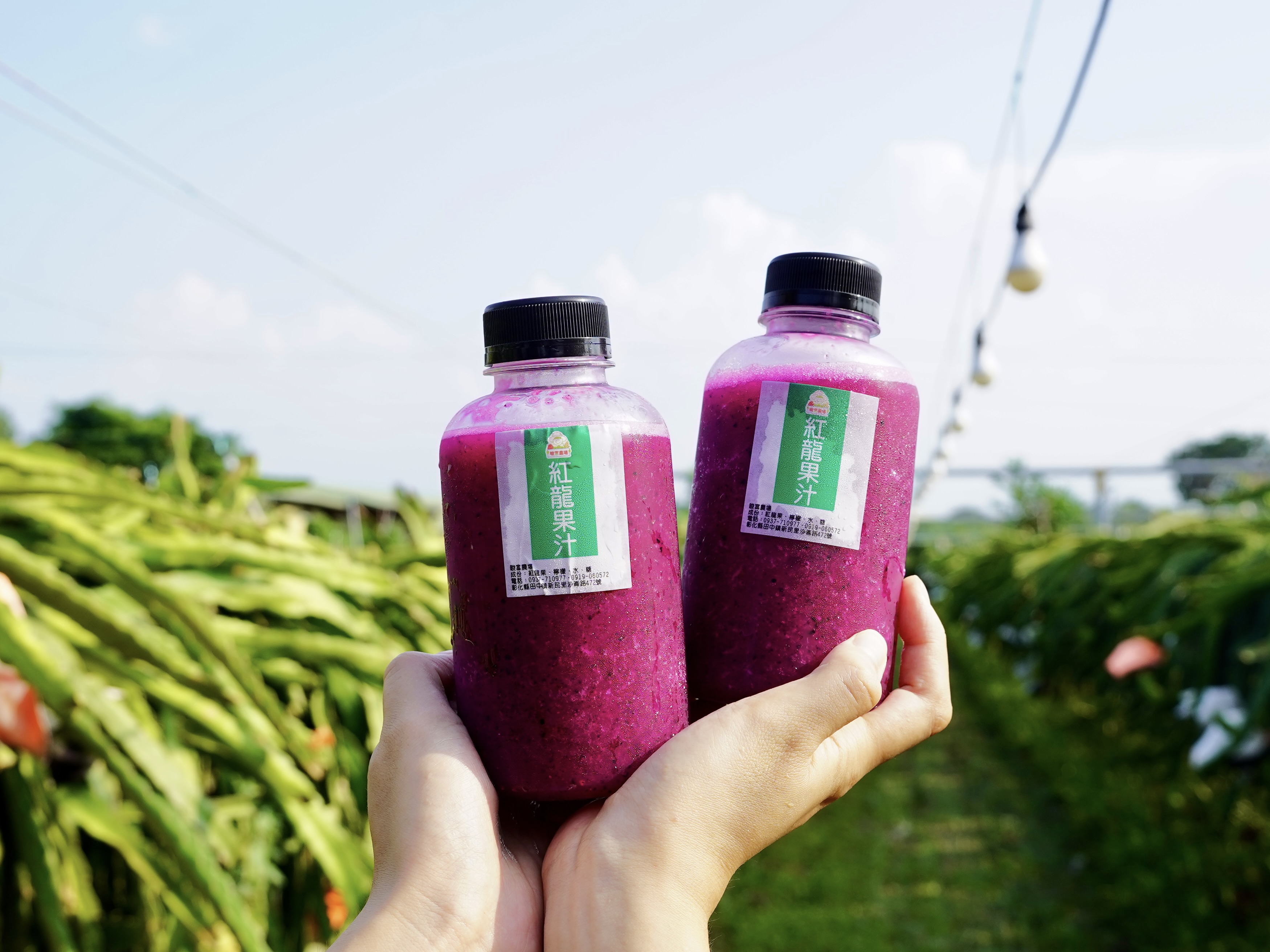 畯富農場(另開新視窗)