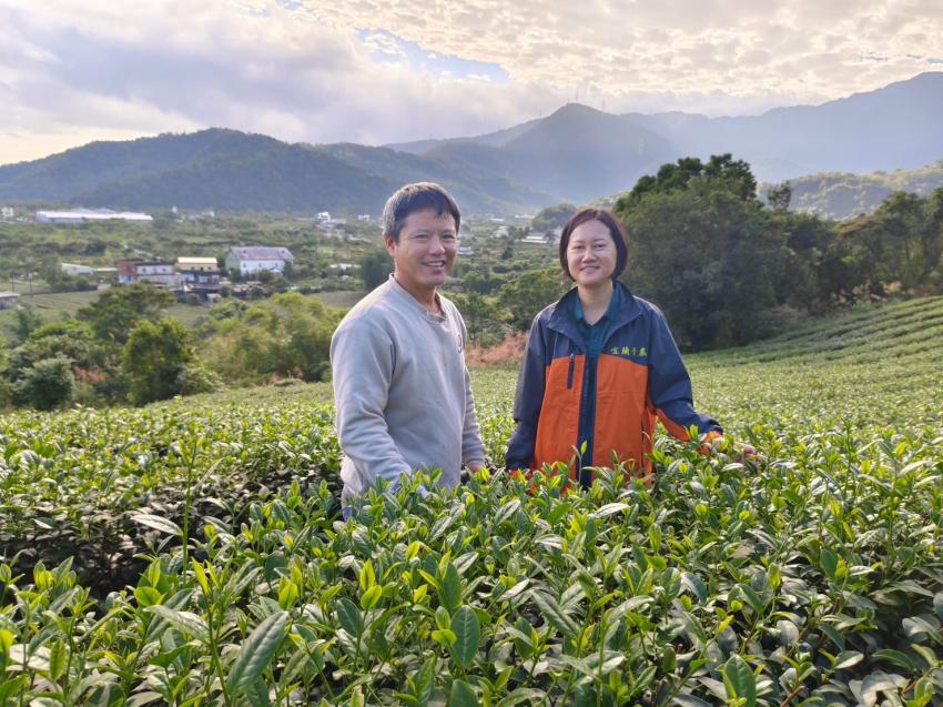 從手工回覆到智能互動！薪寬茶園用 MantaGO 為有機茶事業注入數位活水_內文圖_1