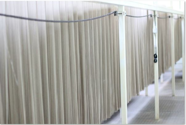 大呷麵本家攜手詠鋐智能，用AI打造智慧麵條，傳統製麵進入數位時代_內文圖_5