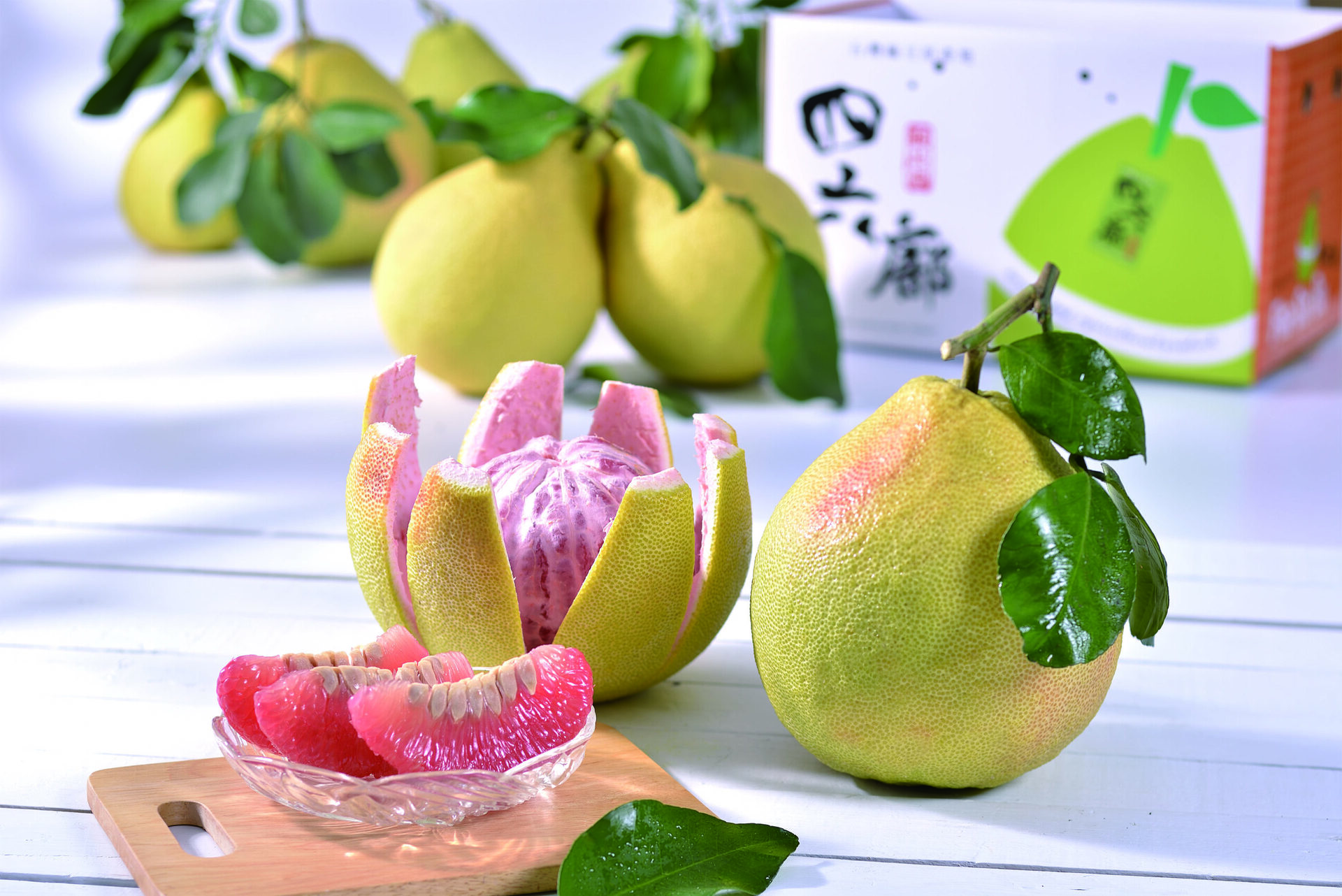 麻小豆·數位匯