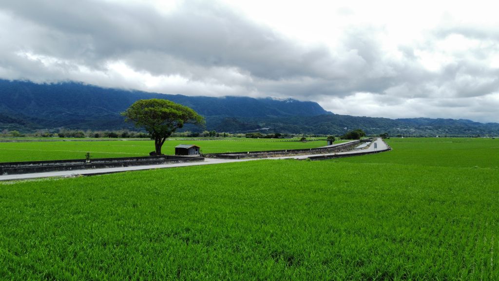 島東風味所