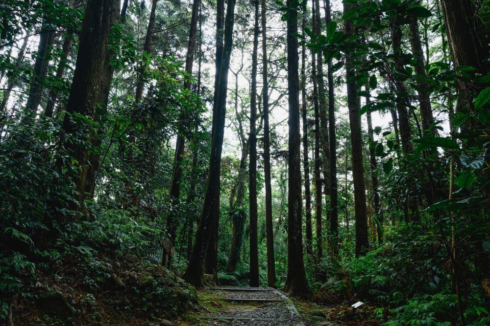 山谷之間
